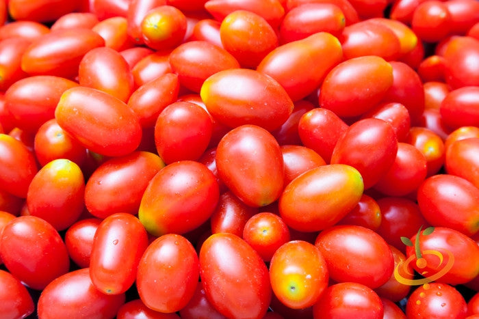 Red pear-shaped indeterminate tomato SeedsNow seed packet showing ripe red tomatoes and green foliage.