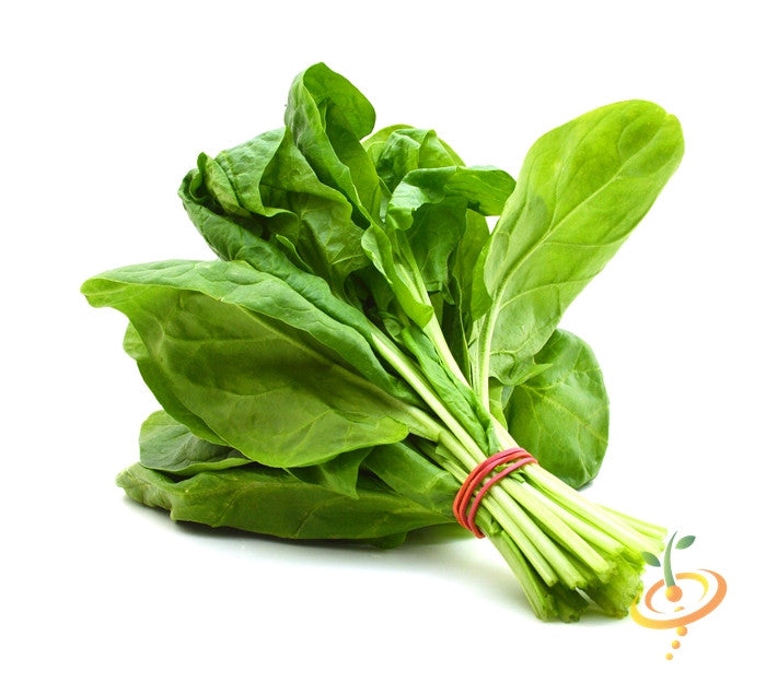 Fresh Monstrueux De Viroflay spinach seeds from SeedsNow, showcasing vibrant green spinach leaves and seed packaging.