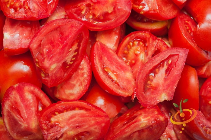 Healthy tomato plant with ripe Bonny Best indeterminate tomatoes on the vine, grown from SeedsNow seeds.