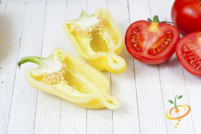 Yellow Caloro jalapeño hot pepper seeds from SeedsNow, showing vibrant green and yellow pepper seeds on a white background.