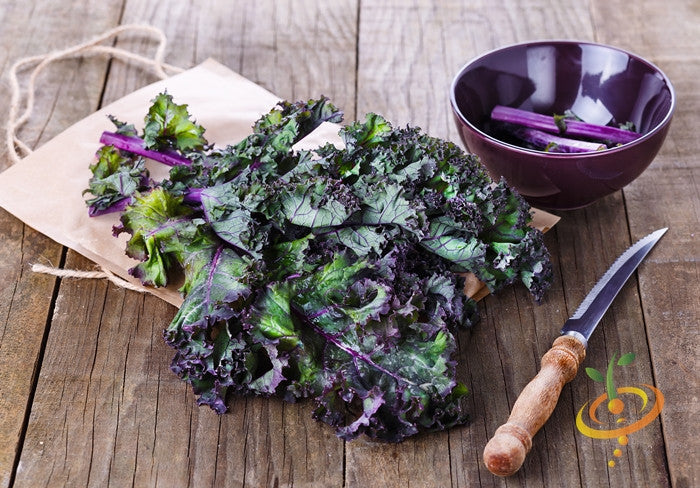 Fresh Red Russian kale leaves with purple stems on rustic wooden table next to knife and bowl