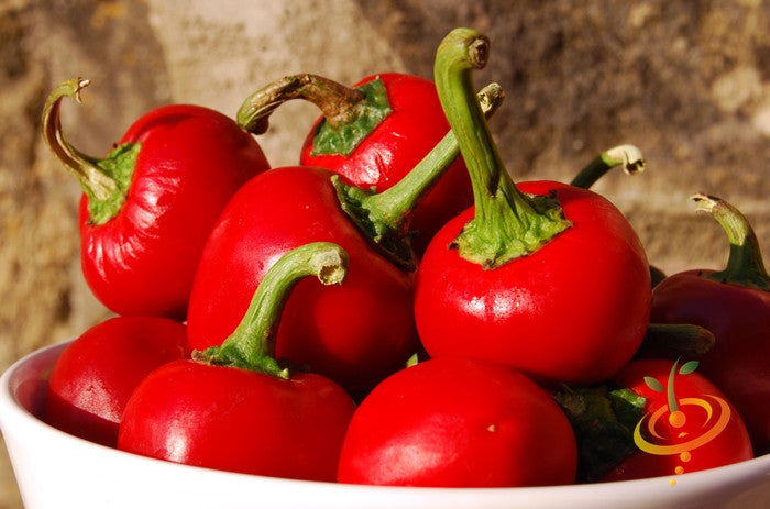 Red hot cherry peppers in a white bowl with stems, bright and round, fresh and spicy Pepper (Hot)