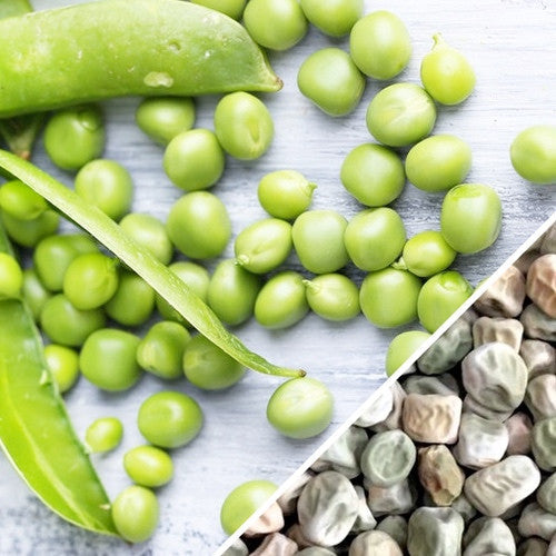 Cascadia Sugar Snap pea seeds from SeedsNow, showing fresh green pea pods and seeds ready for planting in a garden.