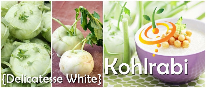 Kohlrabi Delicatesse white round bulbs fresh and prepared in bowl