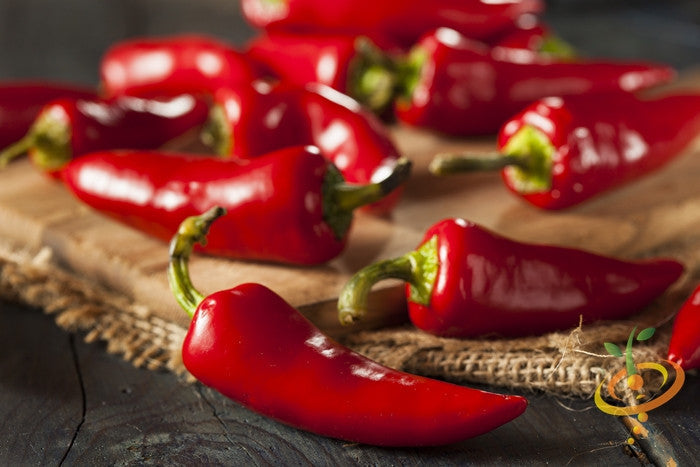 Fresno Chili hot pepper seeds from SeedsNow, showing vibrant green Fresno chili peppers on the plant.