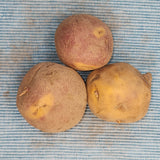 Potato (Early-Season) - Cheshire (Organic rounds) *pre-order*