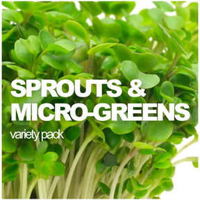 All-in-one sprouts and microgreens variety pack from SeedsNow-SeedBanks, featuring fresh, colorful microgreens in a variety of types.