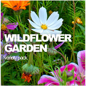 All-in-One Wildflowers and Pollinators seed pack from SeedsNow-SeedBanks, showcasing colorful wildflower and pollinator seeds.