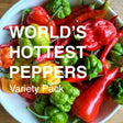 All-in-One WORLD'S Hottest Peppers 🥵🔥🌶️ Variety Pack - SeedsNow.com - *Variety Packs