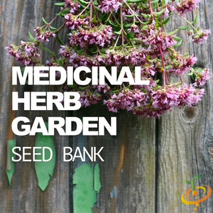 All-in-One Medicinal Herb Garden Seed Bank by SeedsNow-SeedBanks, featuring various herbal seeds in a compact seed storage container.