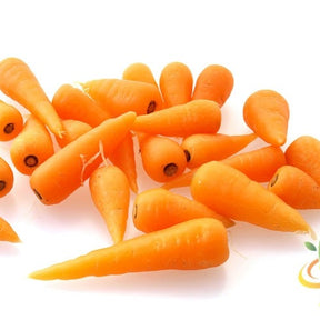 Chantenay carrot seeds by SeedsNow, 5-inch long, ideal for planting and growing vibrant orange carrots in home gardens.