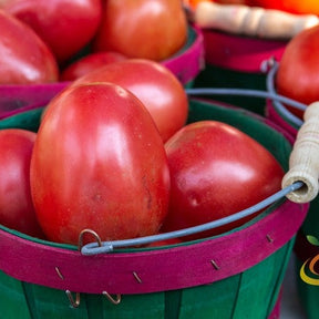 Roma tomato seeds by SeedsNow, showing small seed packets with vibrant red Roma tomato images and planting instructions.