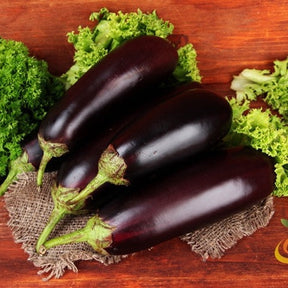 Fresh eggplant (aubergine) from SeedsNow, Florida Market seeds, shown with glossy purple skin and green stem on a garden background.