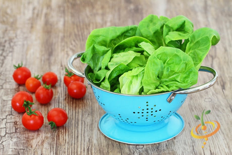 Tom Thumb lettuce seeds from SeedsNow, small green lettuce seed packets, ideal for home gardening and fresh salad greens