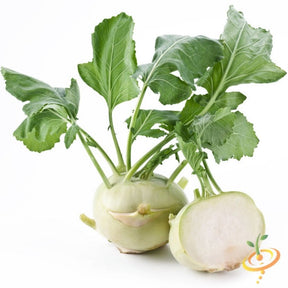 White Kohlrabi seeds from SeedsNow, ready for planting, with colorful seed packets and fresh green Kohlrabi bulbs visible.