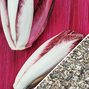 Red Verona chicory seeds from SeedsNow, showing small, vibrant red seed clusters ready for planting.