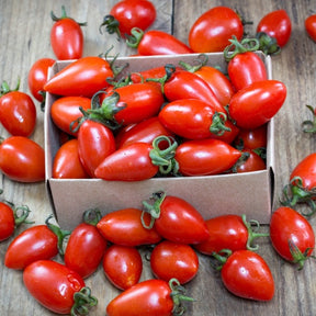 San Marzano indeterminate tomato seeds from SeedsNow, showing vibrant seed packets with detailed plant illustrations.