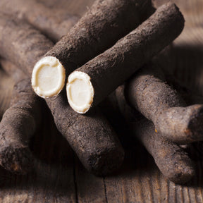 Black Salsify root seeds from SeedsNow.com, showing a large black oyster plant root ready for planting or harvest.