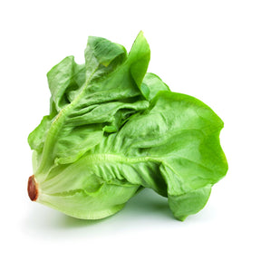 Organic Buttercrunch lettuce seeds from SeedsNow, close-up view of small green seed packets for home gardening.