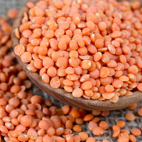 Red lentil sprouts from SeedsNow, fresh microgreens with vibrant red seeds, ideal for salads and healthy dishes.