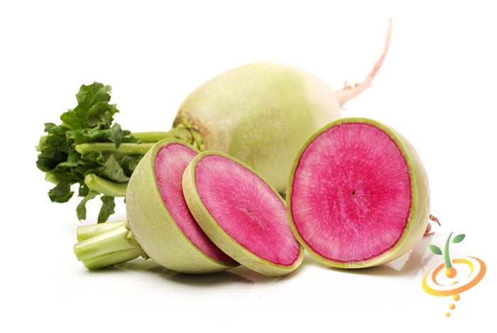 Radish - Watermelon.