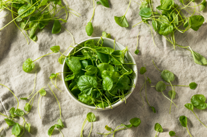 Watercress - SeedsNow.com