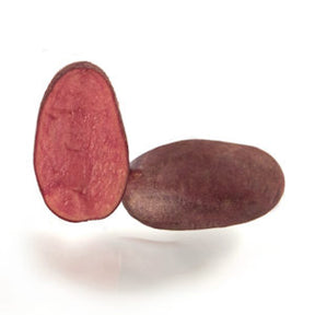 Early-season Zoe potato seed from SeedsNow-Potatoes, showing healthy seed potatoes ready for planting.